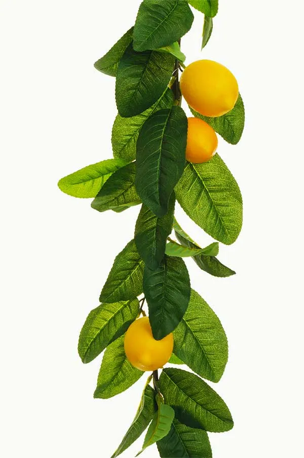 Garden Foggia - Ghirlanda limoni