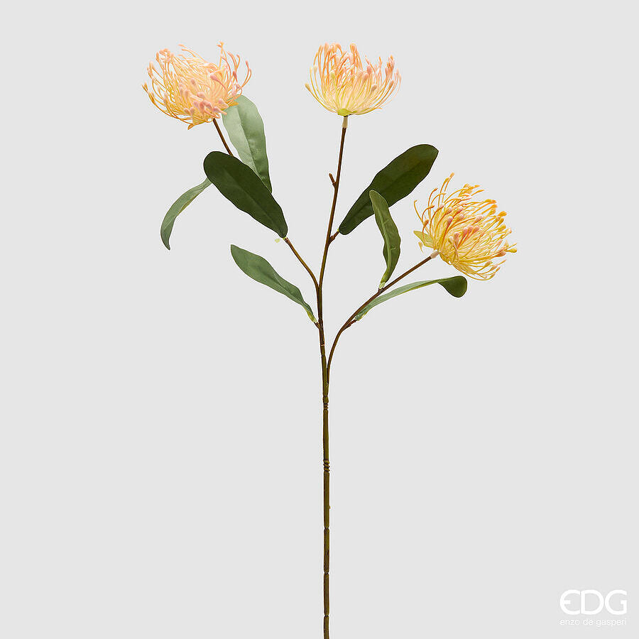EDG - Ramo Protea Con Foglie H 75cm