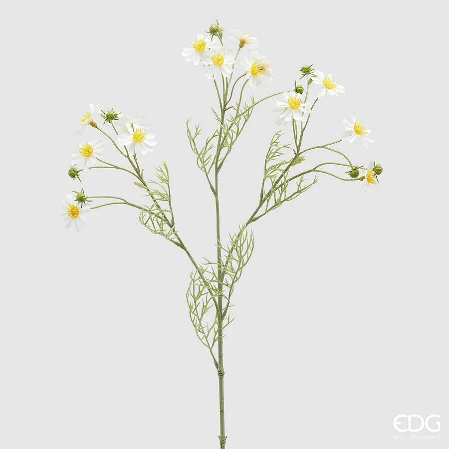 EDG - Ramo Camomilla Fiorito H70cm