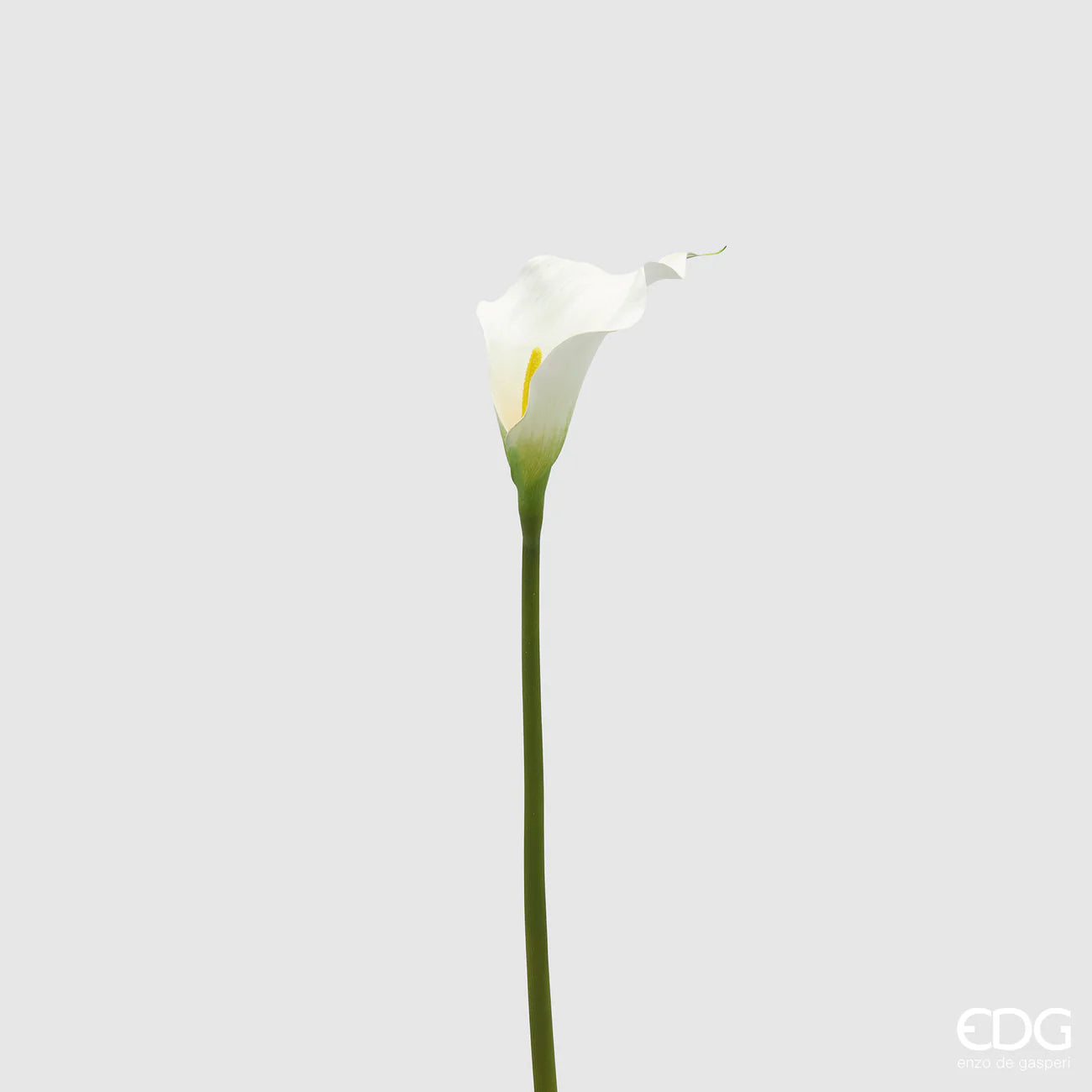 EDG - Calla Artificiale Bianca H 65cm