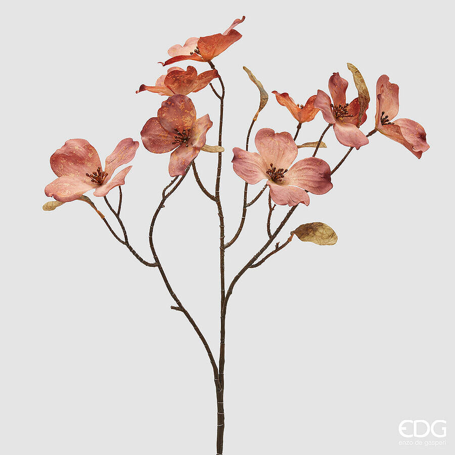 EDG - Ramo Cornus H72 cm