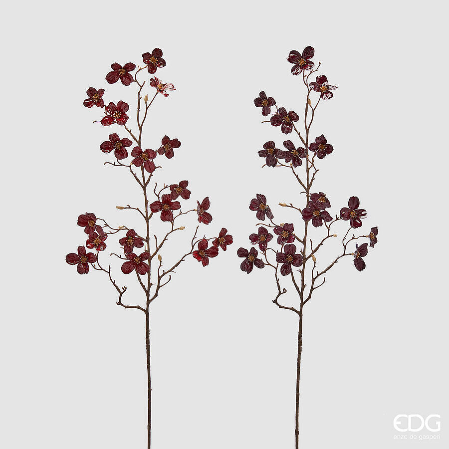 EDG - Ramo Cornus Glossy H 85cm