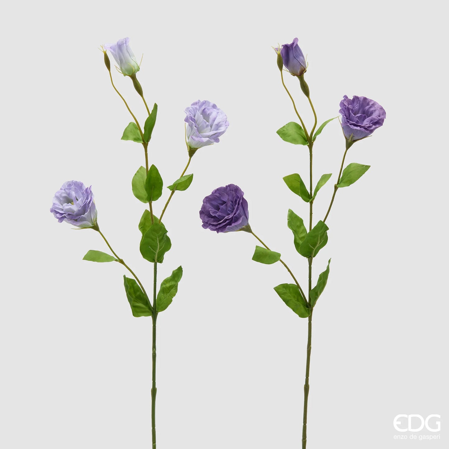 EDG - Ramo Lisianthus H71cm Assortito Viola