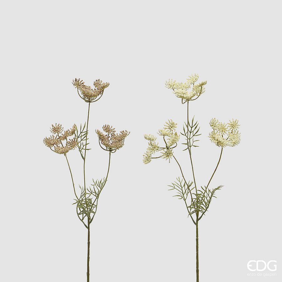 EDG - Ramo Daucus Carota 50cm Assortito in Due Colori