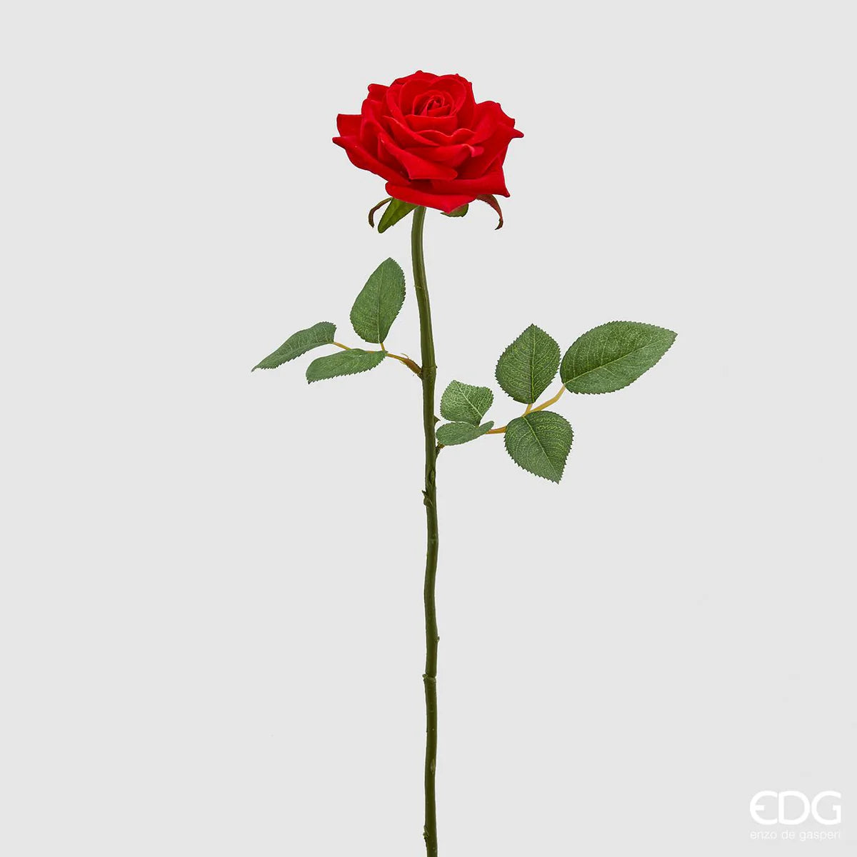 EDG - Ramo Rosa Real CM 58
