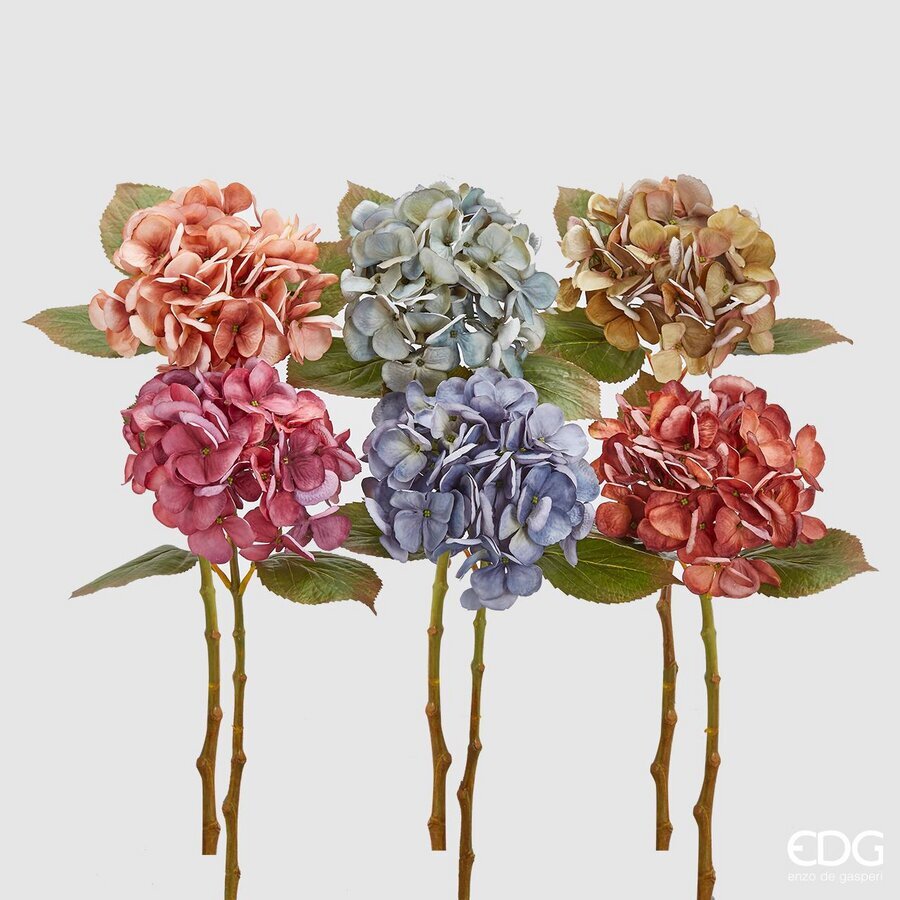 EDG - Ramo Ortensia Dry 5o cm Ass.