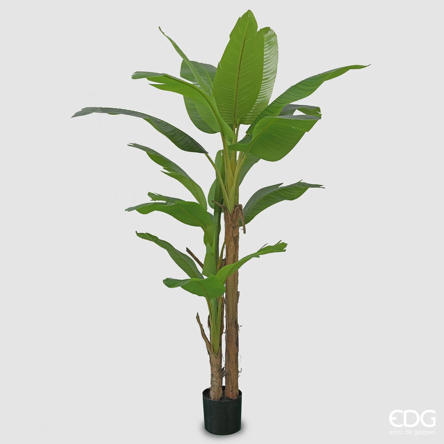 EDG - Banano Artificiale Con Vaso H 280cm