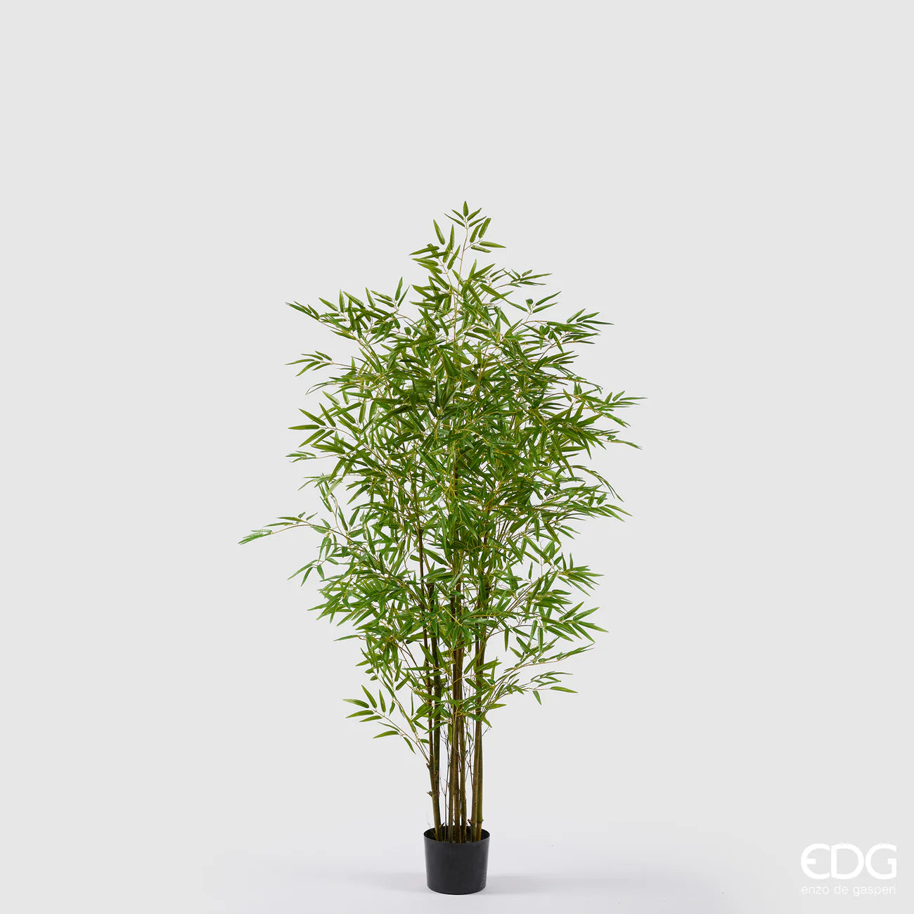 EDG - Pianta Bamboo con vaso H 150 cm Verde Natural