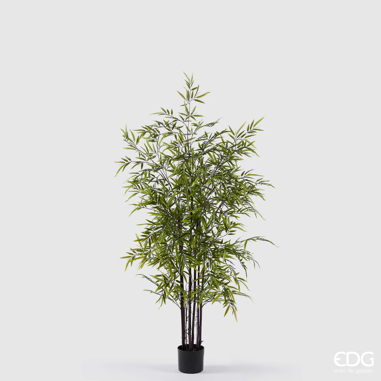 EDG - Pianta Bamboo con vaso H 150 cm Verde Scuro