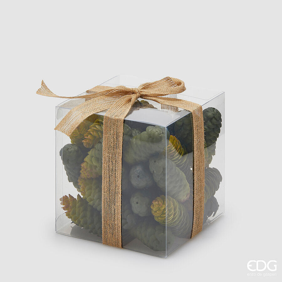 EDG - Confezione 36 Pigne h 8CM