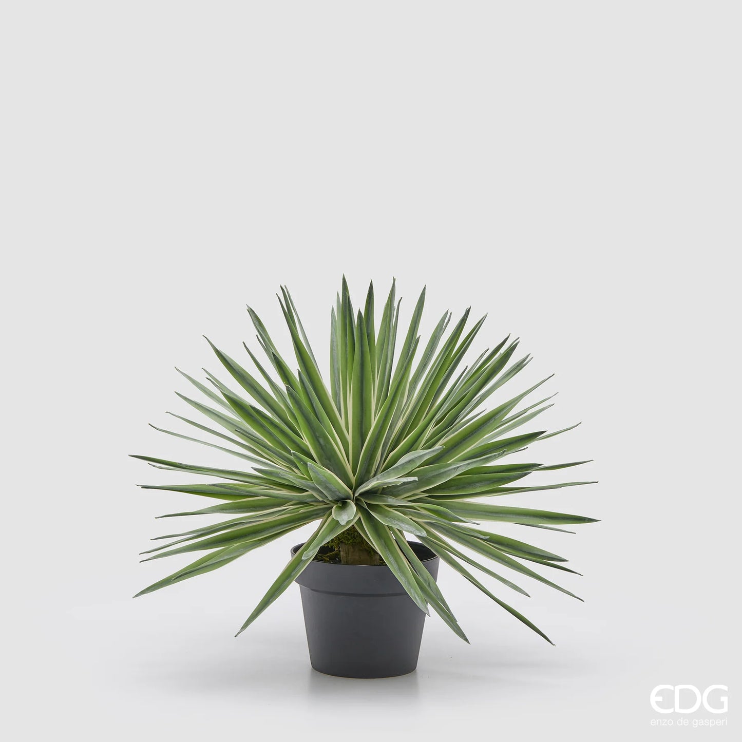 EDG Enzo De Gasperi - pianta con vaso Agave Succulent H45 Soft touch