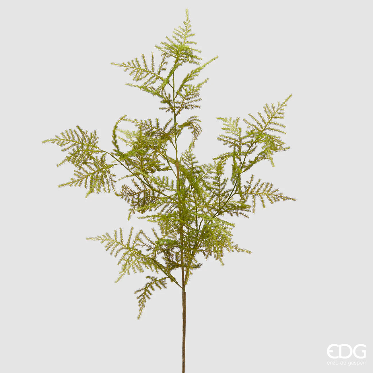 EDG - Ramo Asparagus Artificiale H 97cm