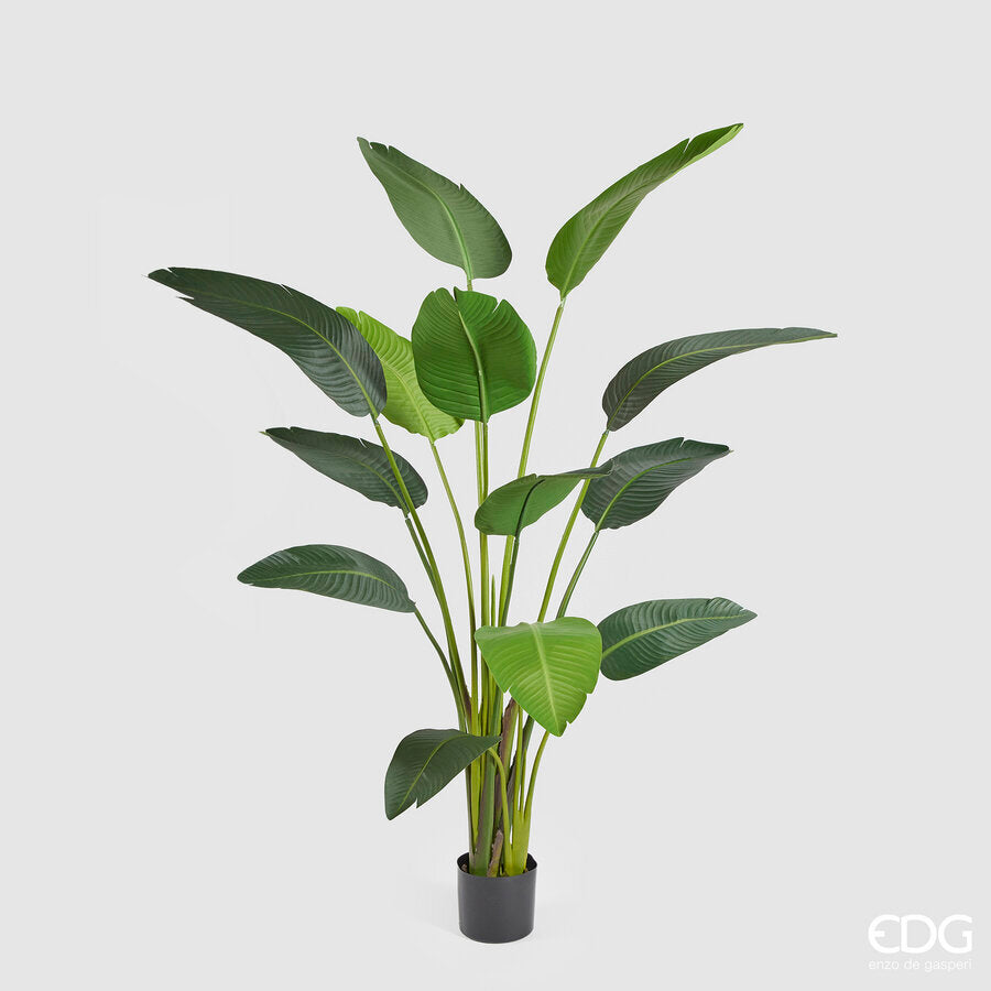 EDG - Pianta Artificiale Strelitzia con Vaso H180 cm