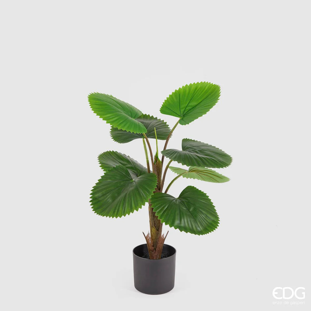 EDG - Palma Camerus Artificiale H70cm