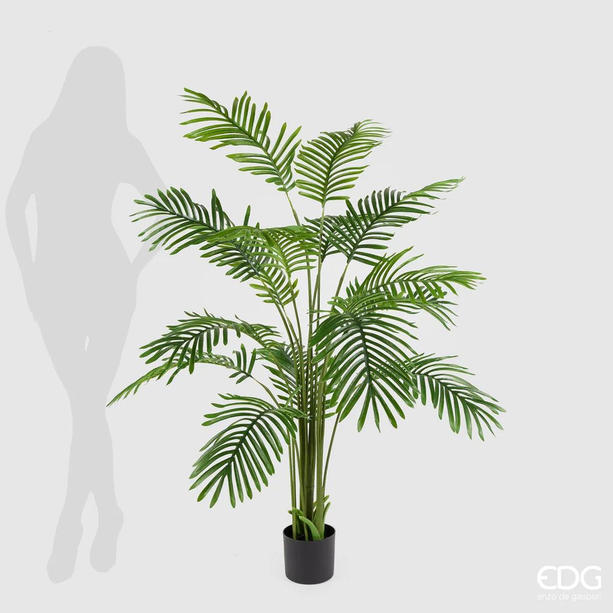 EDG - Pianta Areca Artificiale H 150cm