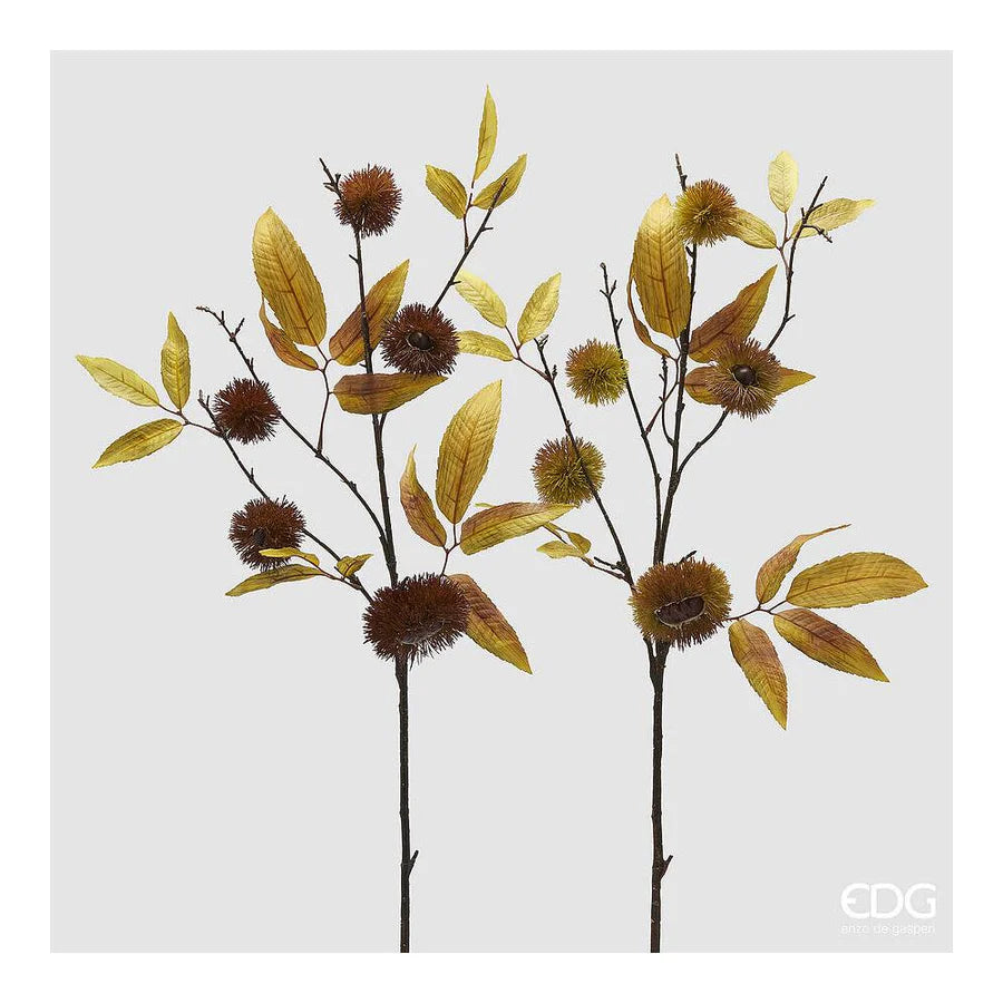 EDG - Branche de châtaignier avec feuilles