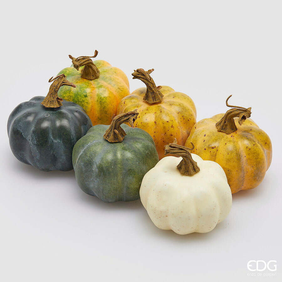 EDG - Zucca Rotonda Conf 6 PZ