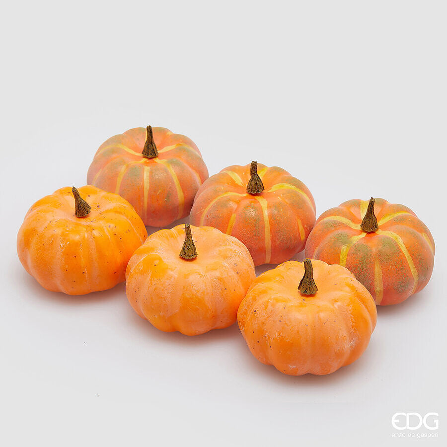 EDG - Zucca Rotonda Conf 6 Pz Assortiti