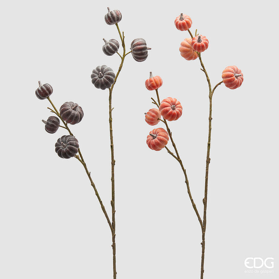 EDG - Ramo Zucca H 90 Assortiti