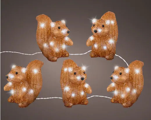 Garden Foggia - Box 5 Scoiattoli Led