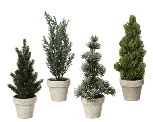 Garden Foggia - Pinetto Vaso Bianco H30cm