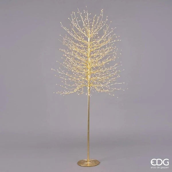EDG - Faggio Gold con Base 900 LED H 180 cm