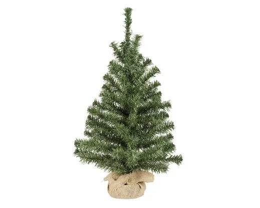 Garden Foggia - Pino Verde Juta H60