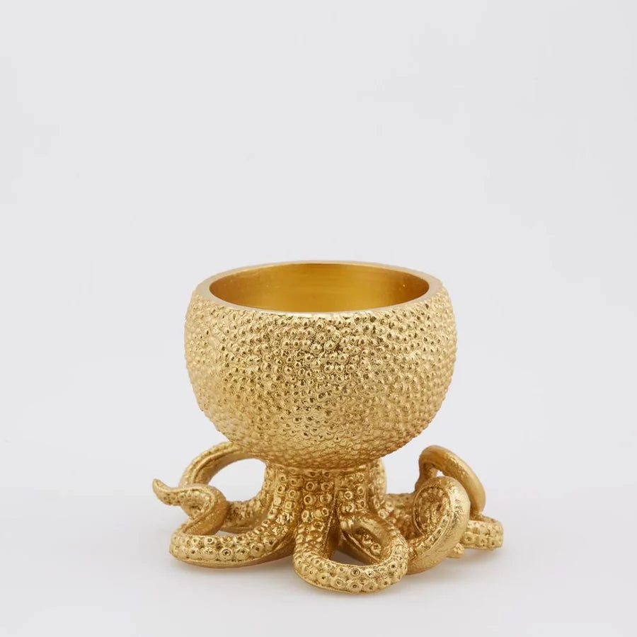 EDG - Vaso Piovra Poly H14 D17