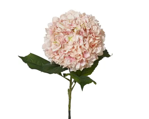Garden Foggia - Ortensia Rosa H 106cm