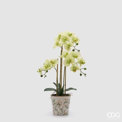 EDG - Orchidea Phalaenopsis x3 con Bocciolo e Vaso Pianta Artificiale H 65 Cm Verde