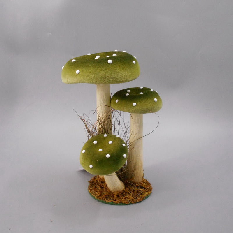 Garden Foggia - Gruppo Funghi Velluto