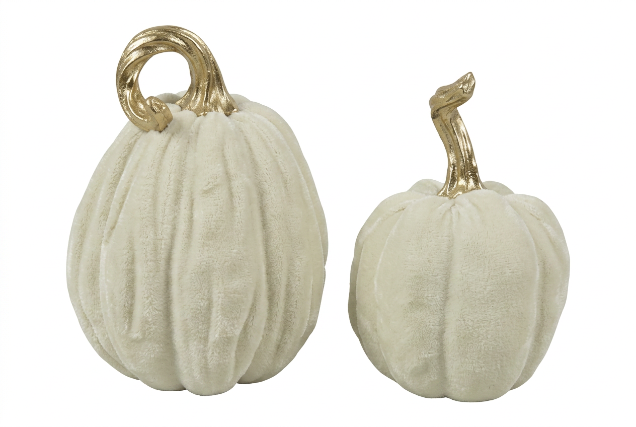 Garden Foggia - Zucca Bianca Picciolo gold Piccolo