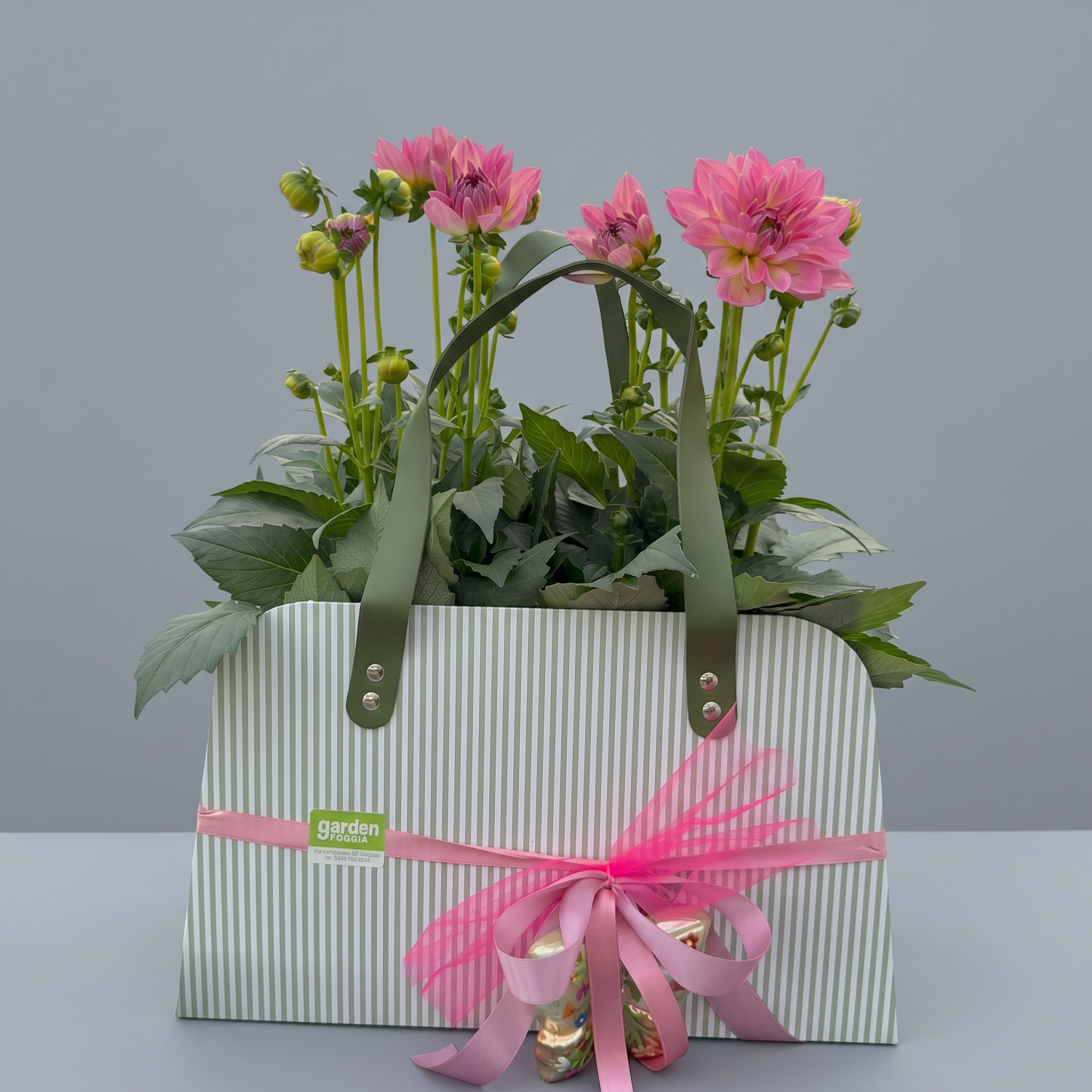 Garden Foggia - Composizione In BAG mix piante