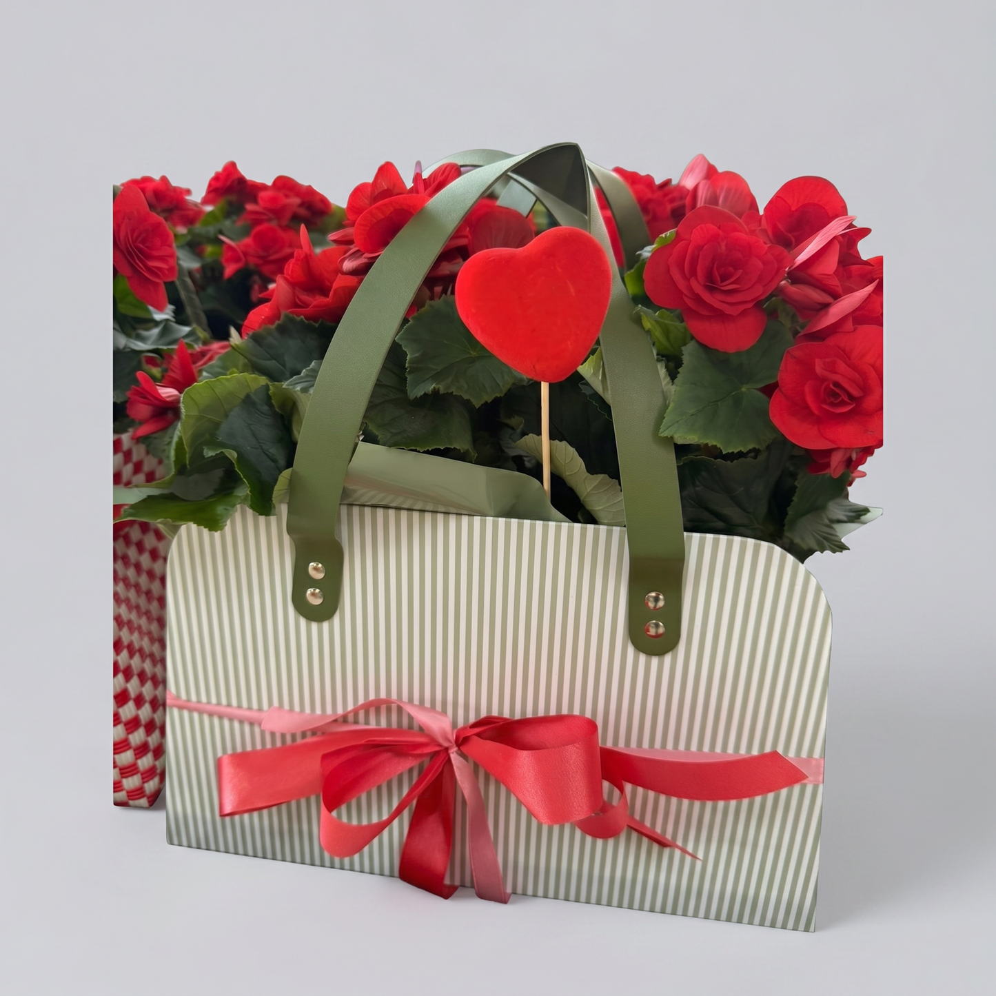 Garden Foggia - Composizione Begonia