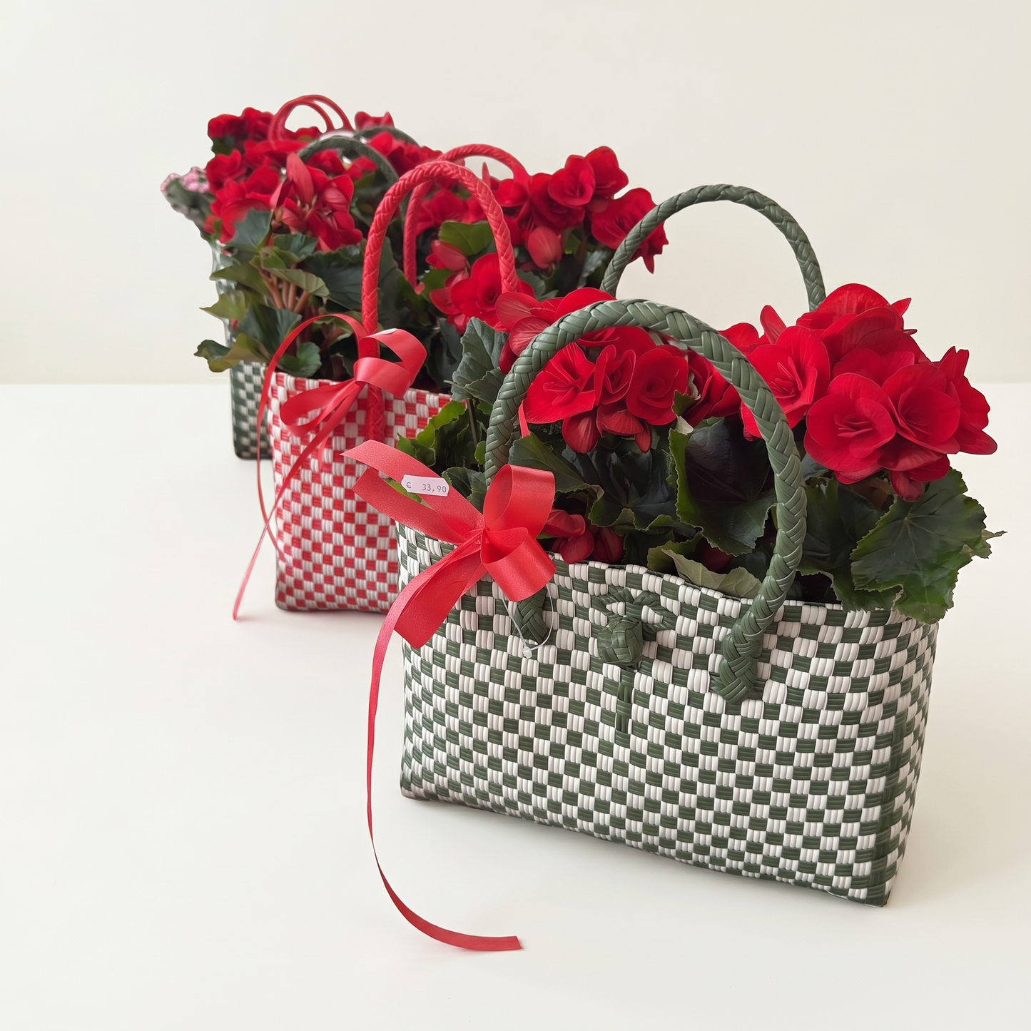 Garden Foggia - Composizione Red Begonia