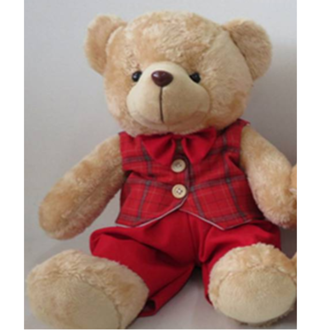 Jardin Foggia - Teddy Bear Him Costume Rouge