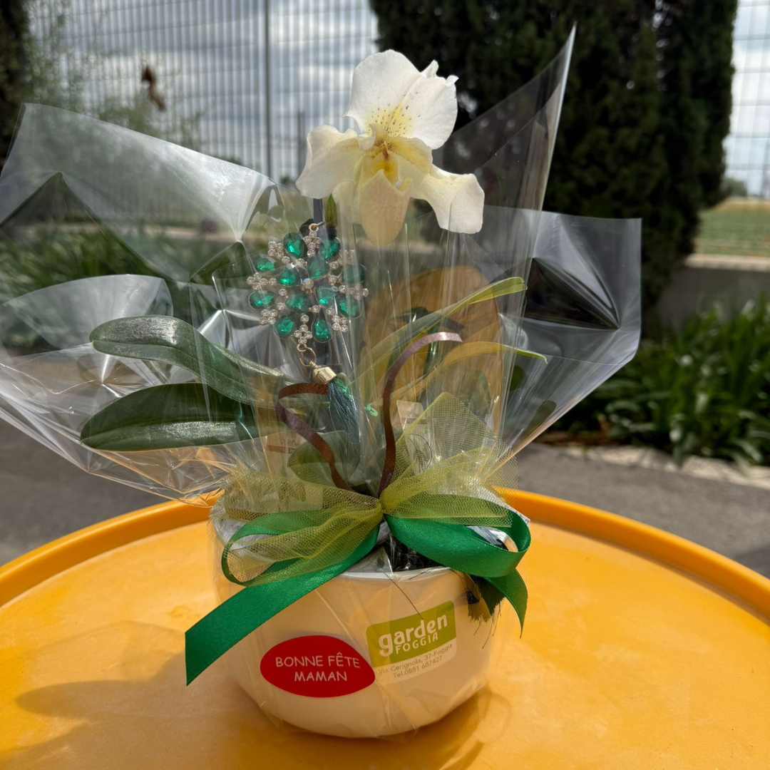 Garden Foggia - Composizione Orchidea con Decoro