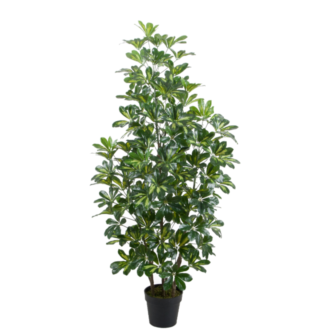 Garden Foggia - Pianta Shefflera 150 CM Artificiale