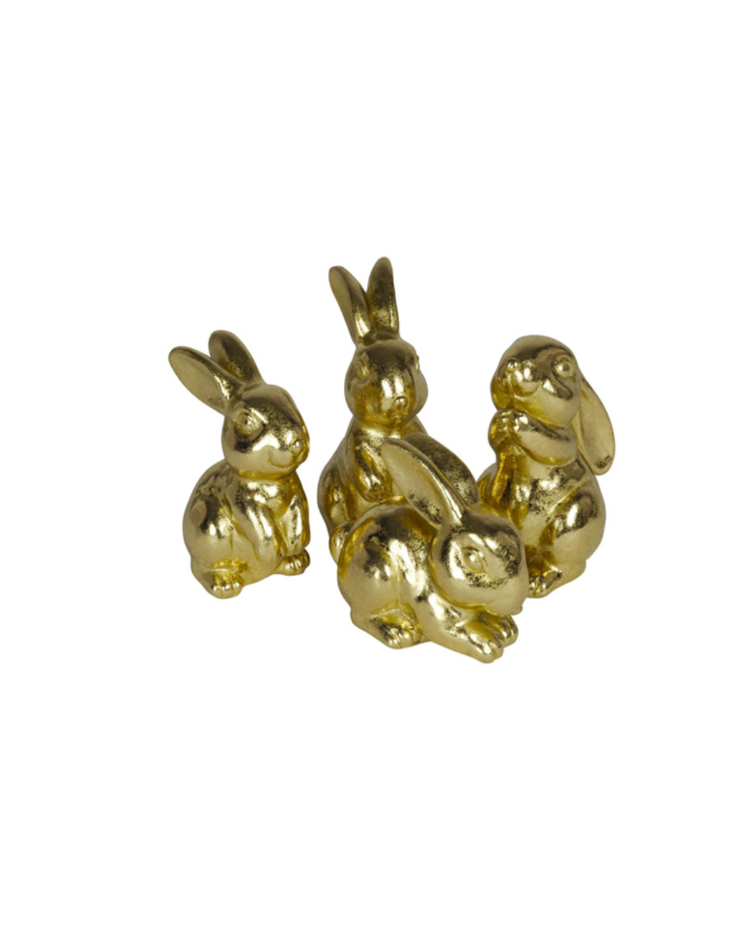 Garden Foggia - Coniglietto Gold Assortito