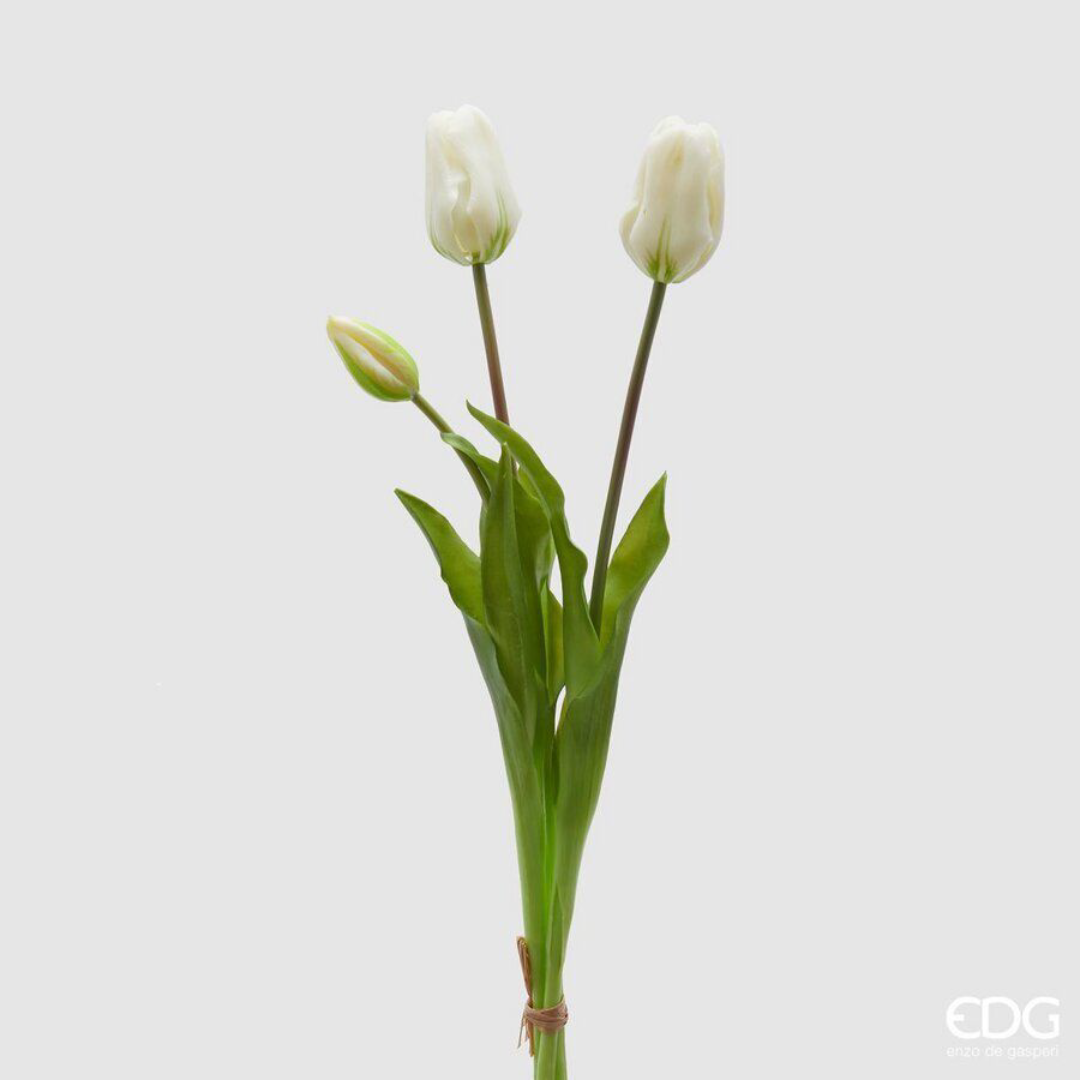 EDG - Olis Tulip Bouquet 3 Closed Flowers (White)