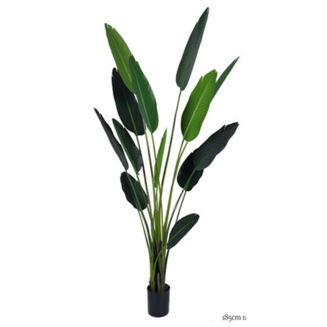 Jardin Foggia - Strelitzia artificielle cm 185