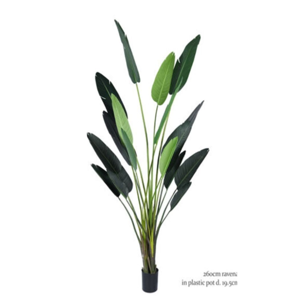 Garden Foggia - Artificial Strelitzia 260cm
