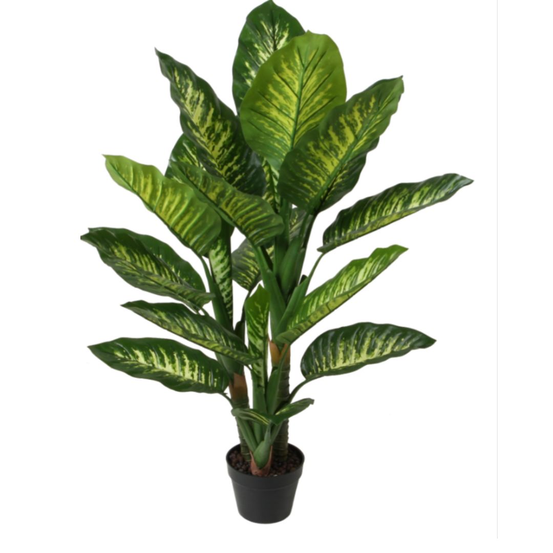 Garden Foggia - Dieffenbachia Artificiale cm 120