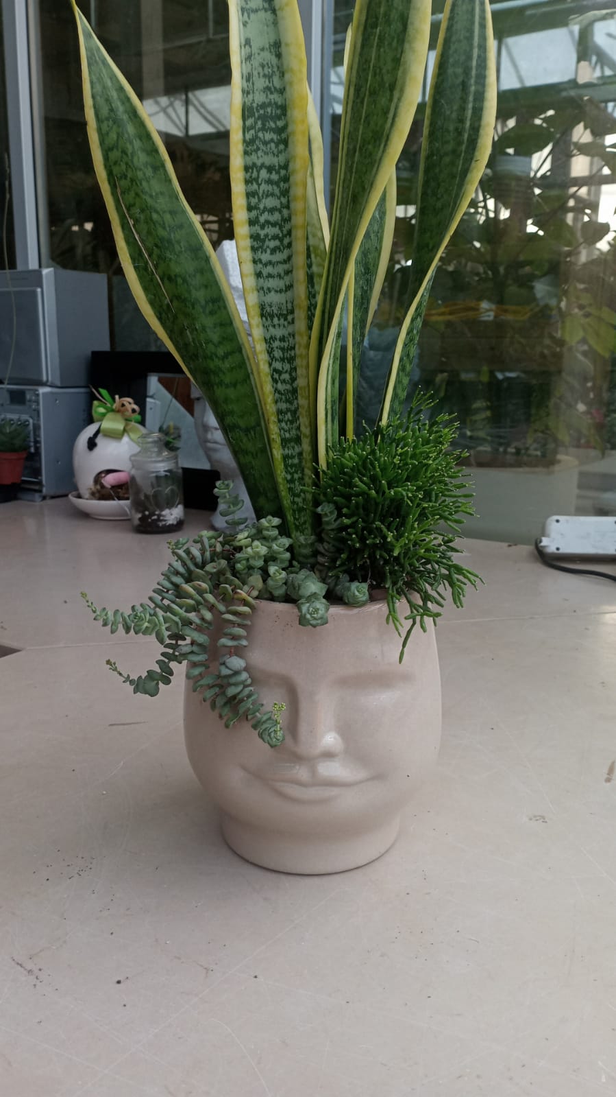 Jardin Foggia - Composition de vases à tête