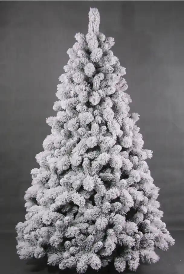 Garden Foggia - Albero Gm Queen