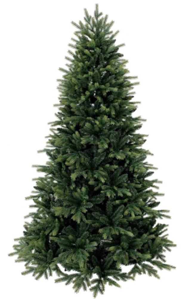 Garden Foggia - Albero TP Green