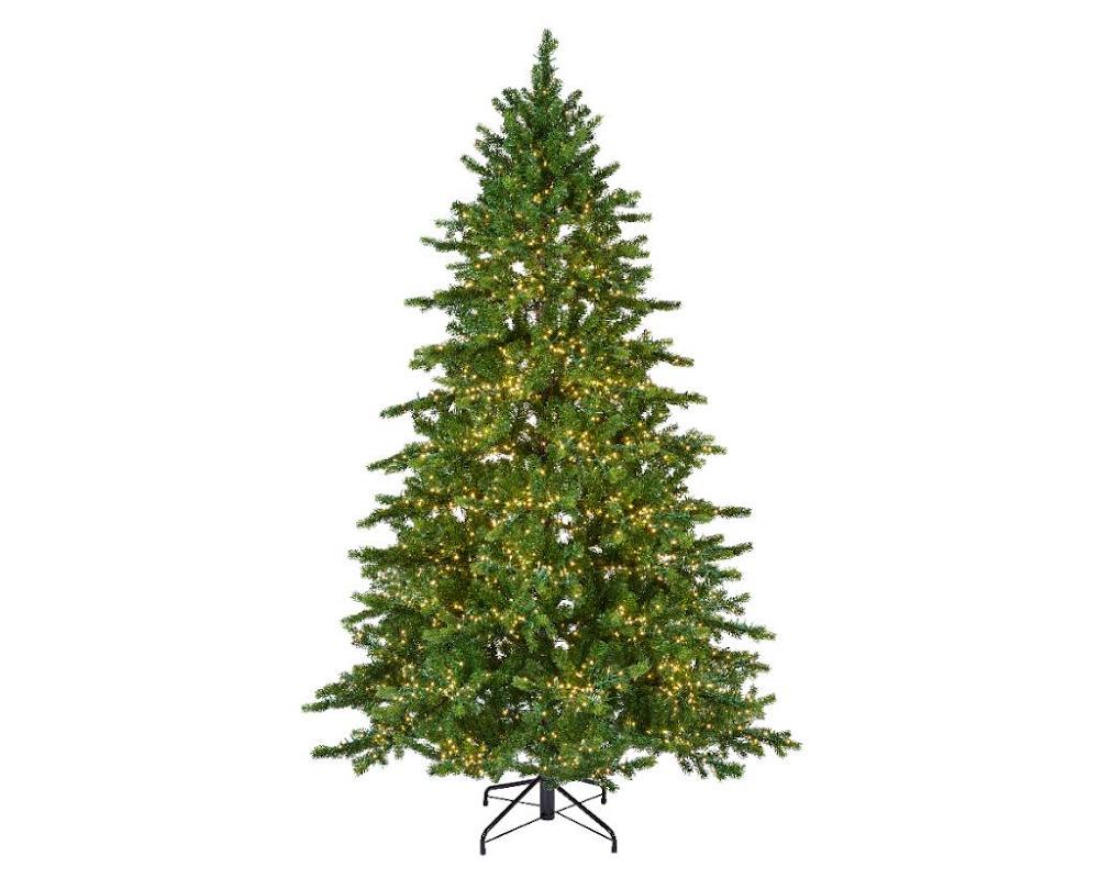 Garden Foggia - Albero Courmayeur Illuminato
