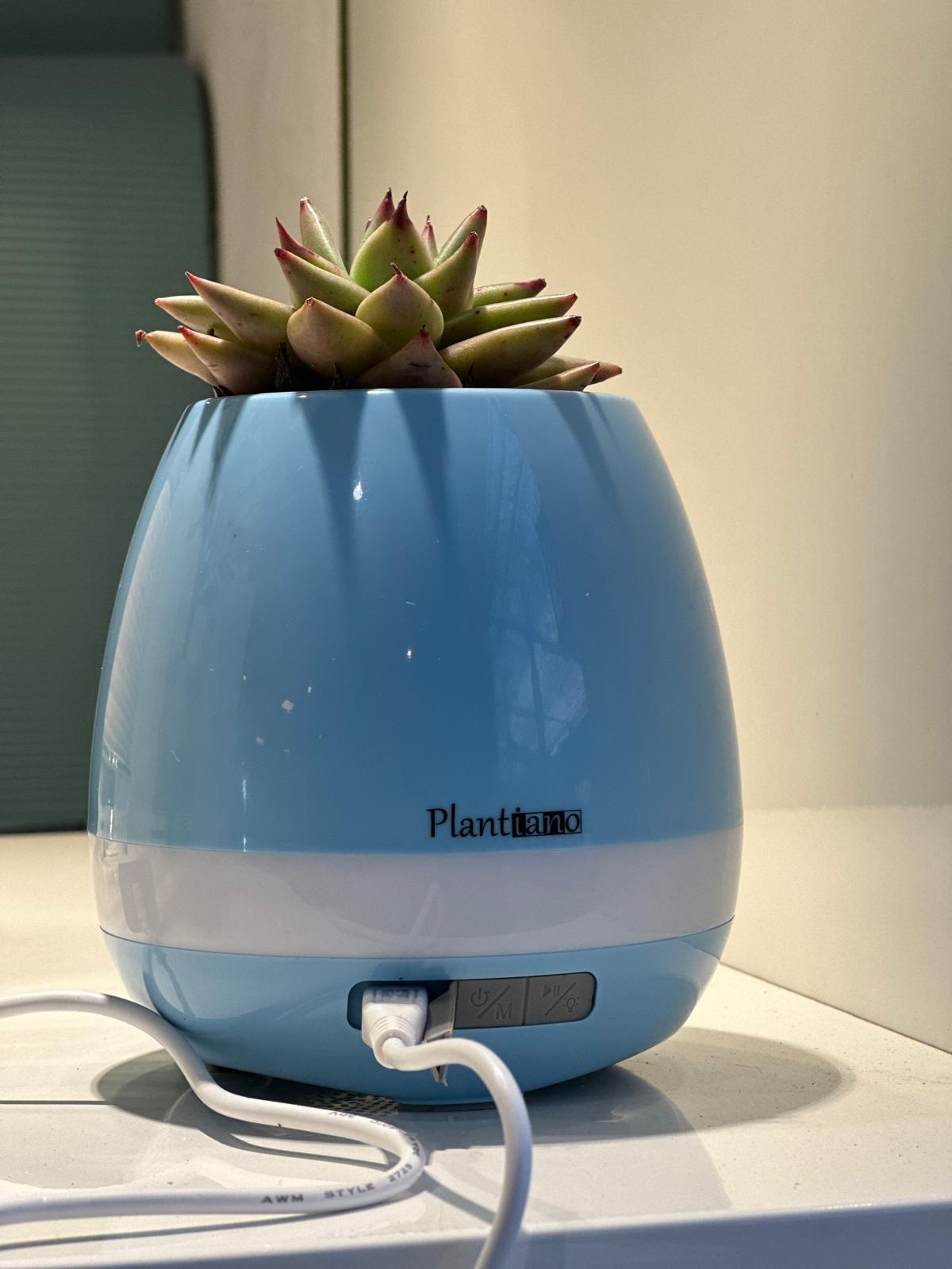 Garden Foggia - Musical Vase with Plant