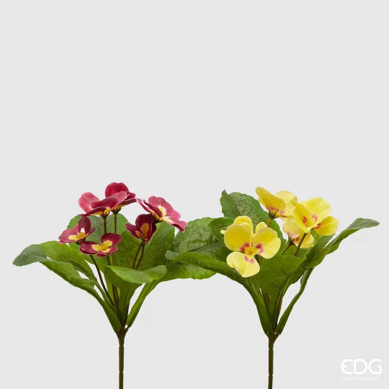 EDG - Fiore Primula H 28 cm