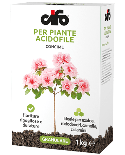 Cifo - Concime per Piante Acidofile